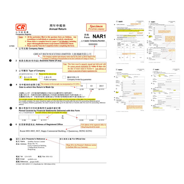 Osome HK Annual Return Filing