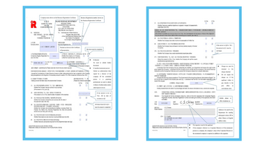 Osome HK FormIR1263 Deregister